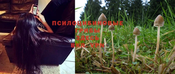 марки nbome Беломорск