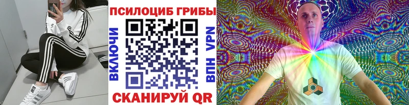 ОМГ ОМГ рабочий сайт  Севск  Псилоцибиновые грибы GOLDEN TEACHER 