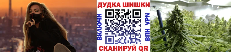Конопля семена  цены   Севск 